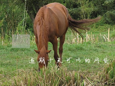 逾期十天可以的网贷 逾期十天可以的网贷