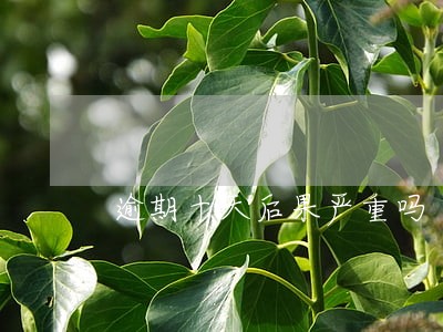 逾期十天后果严重吗 逾期十天后果严重吗