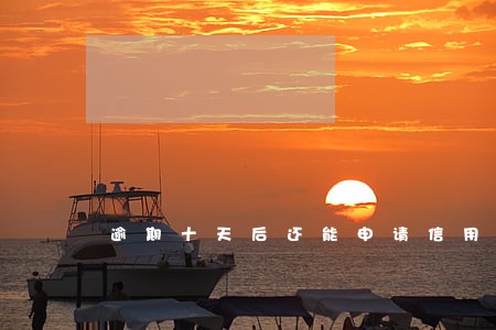 逾期十天后还能申请信用卡吗