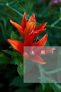 逾期十天在还钱算还款吗 逾期十天在还钱算还款吗