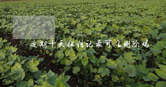 逾期十天征信记录可以删除吗 逾期十天征信记录可以删除吗