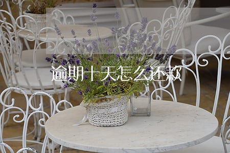 逾期十天怎么还款
