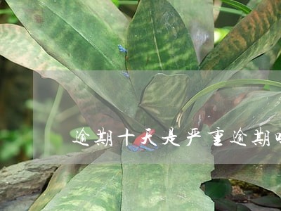 逾期十天是严重逾期吗 逾期十天是严重逾期吗