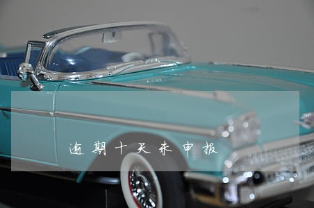 逾期十天未申报 逾期十天未申报
