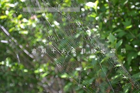 逾期十天来月经正常吗 逾期十天来月经正常吗