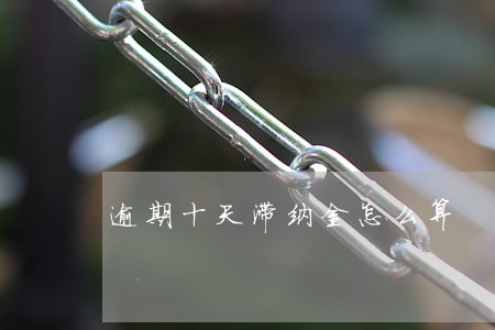 逾期十天滞纳金怎么算 逾期十天滞纳金怎么算