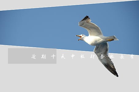 逾期十天申报财务报表有处罚吗 逾期十天申报财务报表有处罚吗