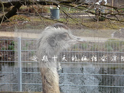 逾期十天的征信会消除吗 逾期十天的征信会消除吗