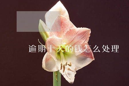 逾期十天的钱怎么处理 逾期十天的钱怎么处理