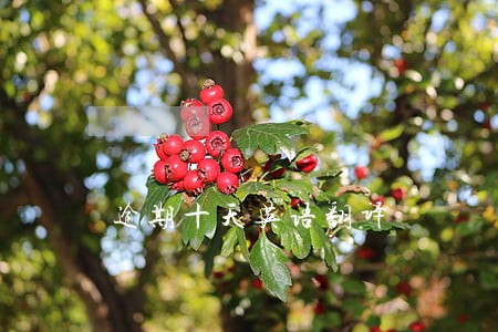 逾期十天英语翻译 逾期十天英语翻译