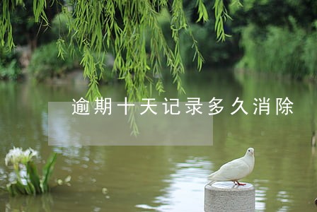 逾期十天记录多久消除 逾期十天记录多久消除