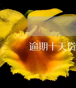 逾期十天贷款能贷吗 逾期十天贷款能贷吗