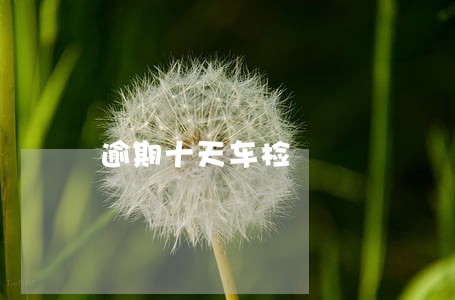 逾期十天车检 逾期十天车检