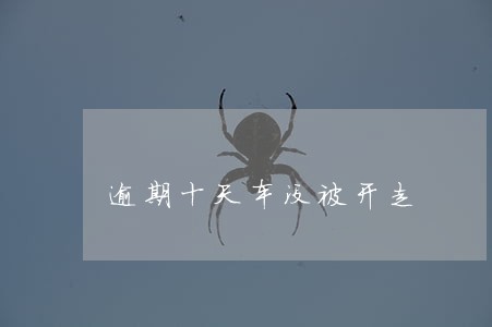 逾期十天车没被开走
