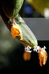 逾期十天还信用卡会影响征信 逾期十天还信用卡会影响征信