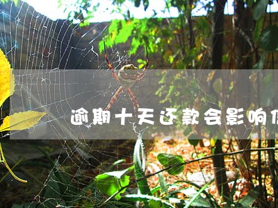 逾期十天还款会影响信用吗 逾期十天还款会影响信用吗