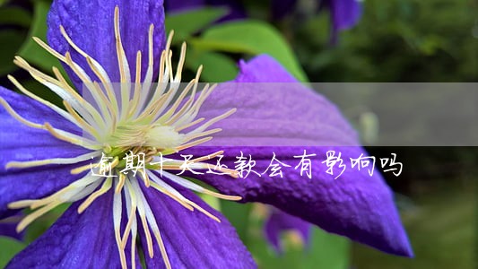 逾期十天还款会有影响吗 逾期十天还款会有影响吗