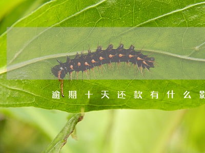 逾期十天还款有什么影响 逾期十天还款有什么影响