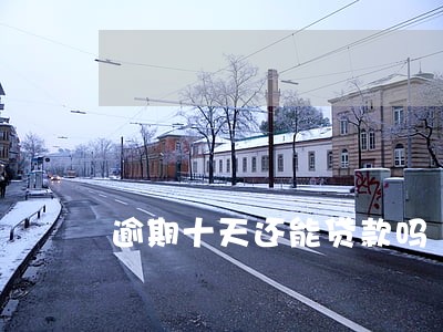 逾期十天还能贷款吗 逾期十天还能贷款吗