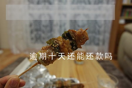 逾期十天还能还款吗 逾期十天还能还款吗