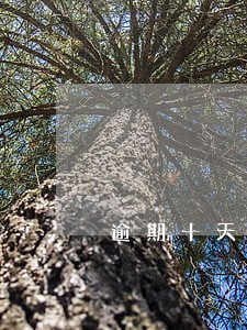逾期十天都没爆通讯录 逾期十天都没爆通讯录