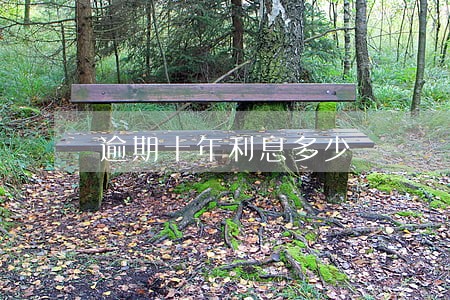 逾期十年利息多少 逾期十年利息多少