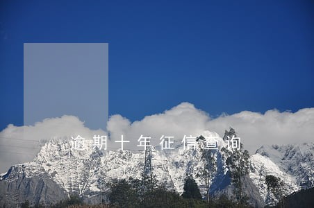 逾期十年征信查询