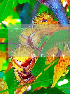 逾期十年银行不联系谁的责任 逾期十年银行不联系谁的责任