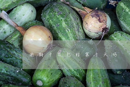 逾期十日包括第十天吗 逾期十日包括第十天吗
