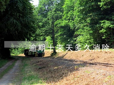 逾期十来天多久消除 逾期十来天多久消除