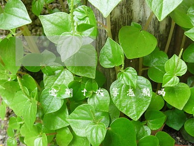 逾期十次算老赖吗 逾期十次算老赖吗