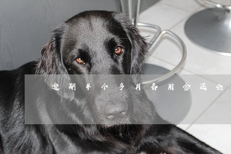 逾期半个多月备用金还会开么 逾期半个多月备用金还会开么