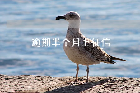 逾期半个月上征信 逾期半个月上征信