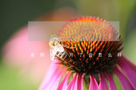 逾期半个月了会怎么样 逾期半个月了会怎么样