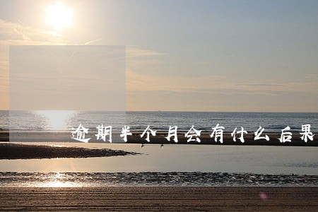 逾期半个月会有什么后果 逾期半个月会有什么后果