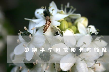 逾期半个月信用卡降额度了