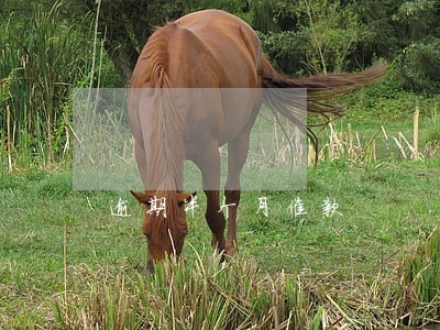 逾期半个月催款 逾期半个月催款
