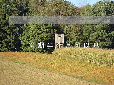 逾期半个月可以吗 逾期半个月可以吗