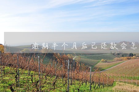 逾期半个月后已还款会怎么样 逾期半个月后已还款会怎么样