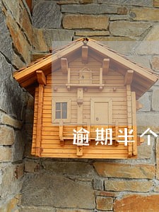 逾期半个月审车 逾期半个月审车