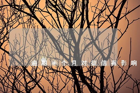逾期半个月对征信有影响吗 逾期半个月对征信有影响吗