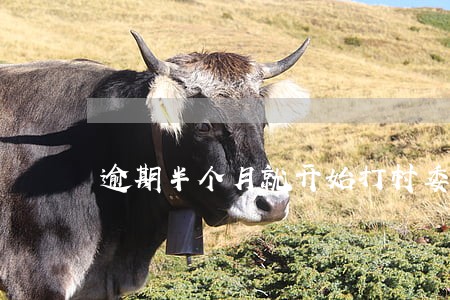 逾期半个月就开始打村委会吗 逾期半个月就开始打村委会吗