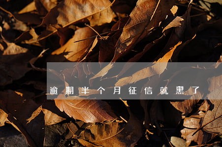 逾期半个月征信就黑了 逾期半个月征信就黑了