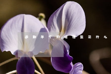 逾期半个月征信显示什么 逾期半个月征信显示什么
