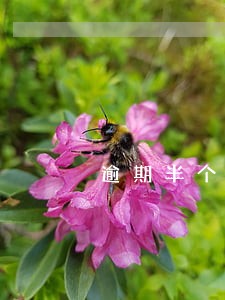 逾期半个月怎么催收 逾期半个月怎么催收