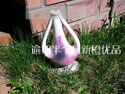 逾期半个月新橙优品 逾期半个月新橙优品