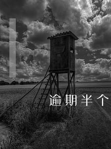 逾期半个月最低还款 逾期半个月最低还款