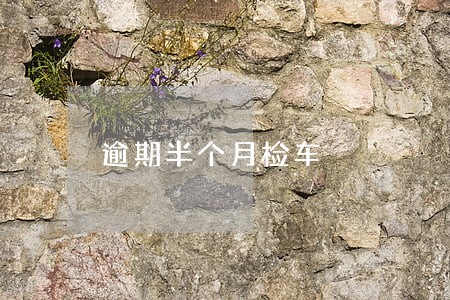 逾期半个月检车 逾期半个月检车