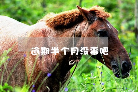 逾期半个月没事吧 逾期半个月没事吧