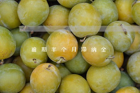 逾期半个月滞纳金 逾期半个月滞纳金